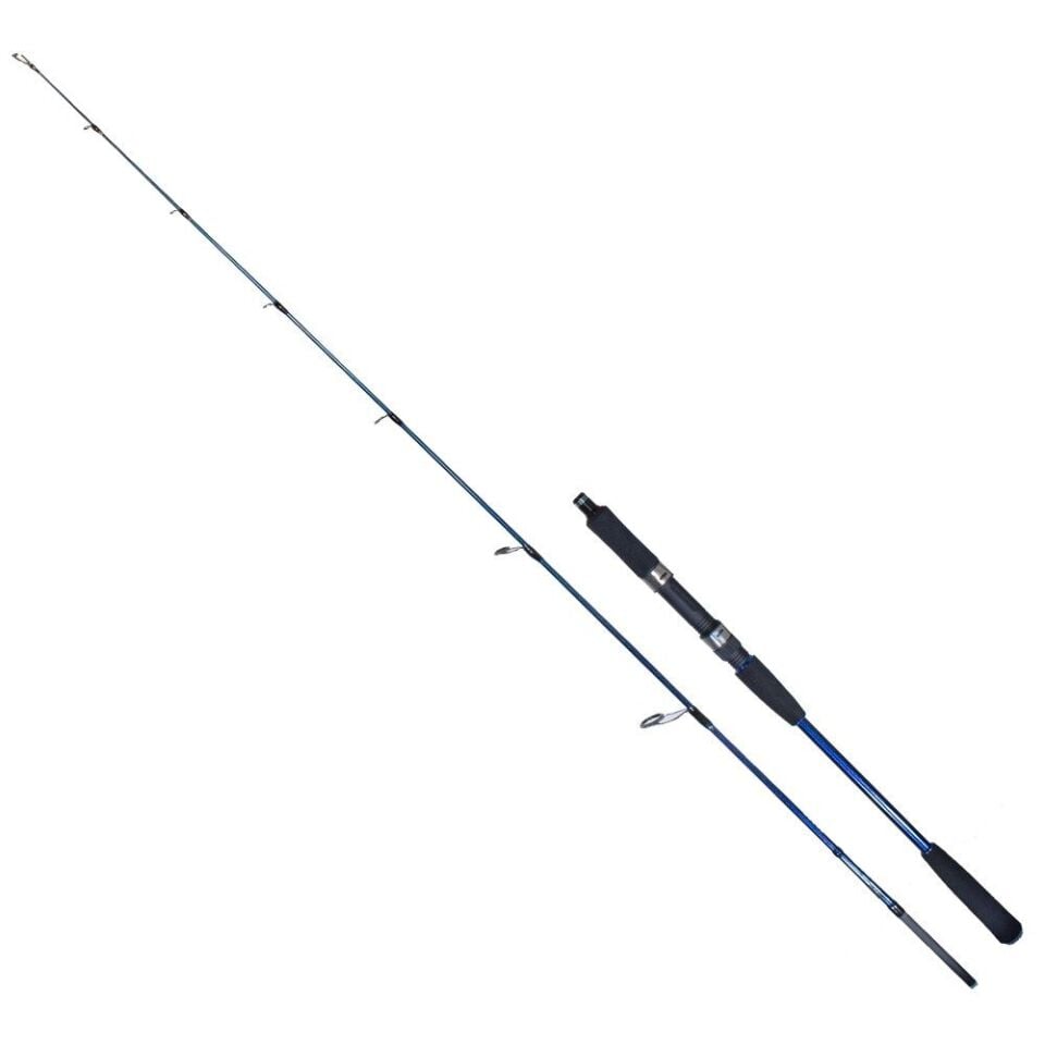 Ryuji Strobe II 1.68M 40-110Gr Jig Olta Kamışı