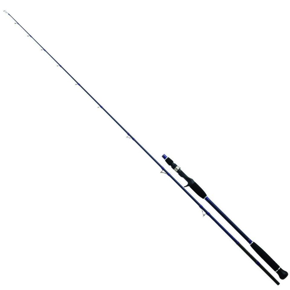 Daiwa Exceler Oceano 198 Cm MAX250 Olta Kamışı