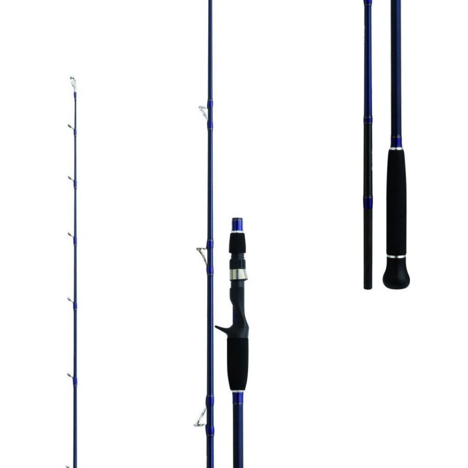 Daiwa Exceler Oceano 193 Cm Max180 Olta Kamışı