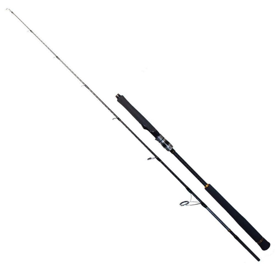 Ryuji Seawolf 198 Cm 150-250 Gr 2P Jig Olta Kamışı
