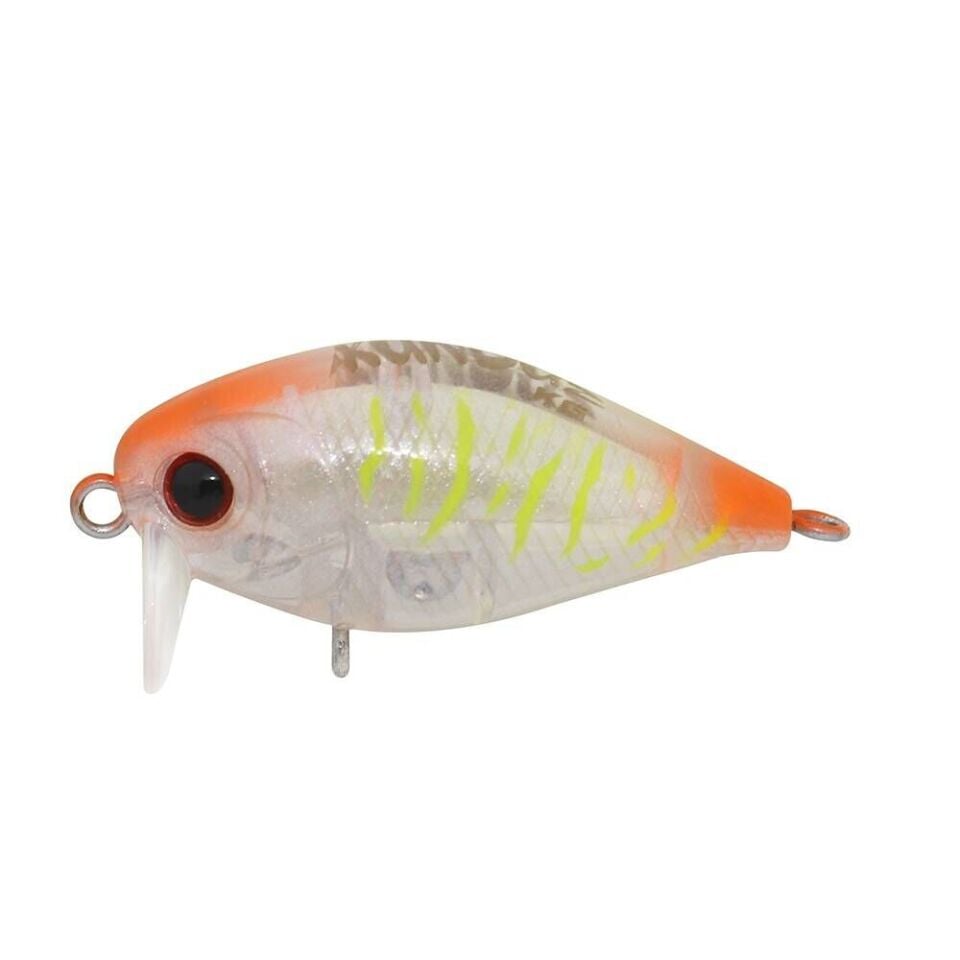 Hanfish Kunduz Kg Maket Yem Uv Shrimp