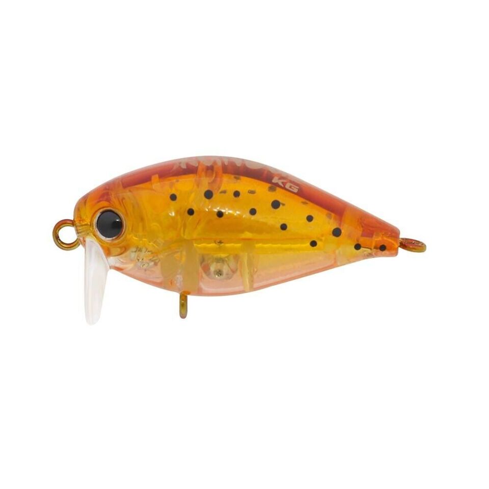 Hanfish Kunduz Kg Maket Yem Colorado Shrimp