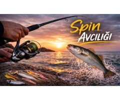 Spin Avcılığı Nedir? Nasıl Yapılır?