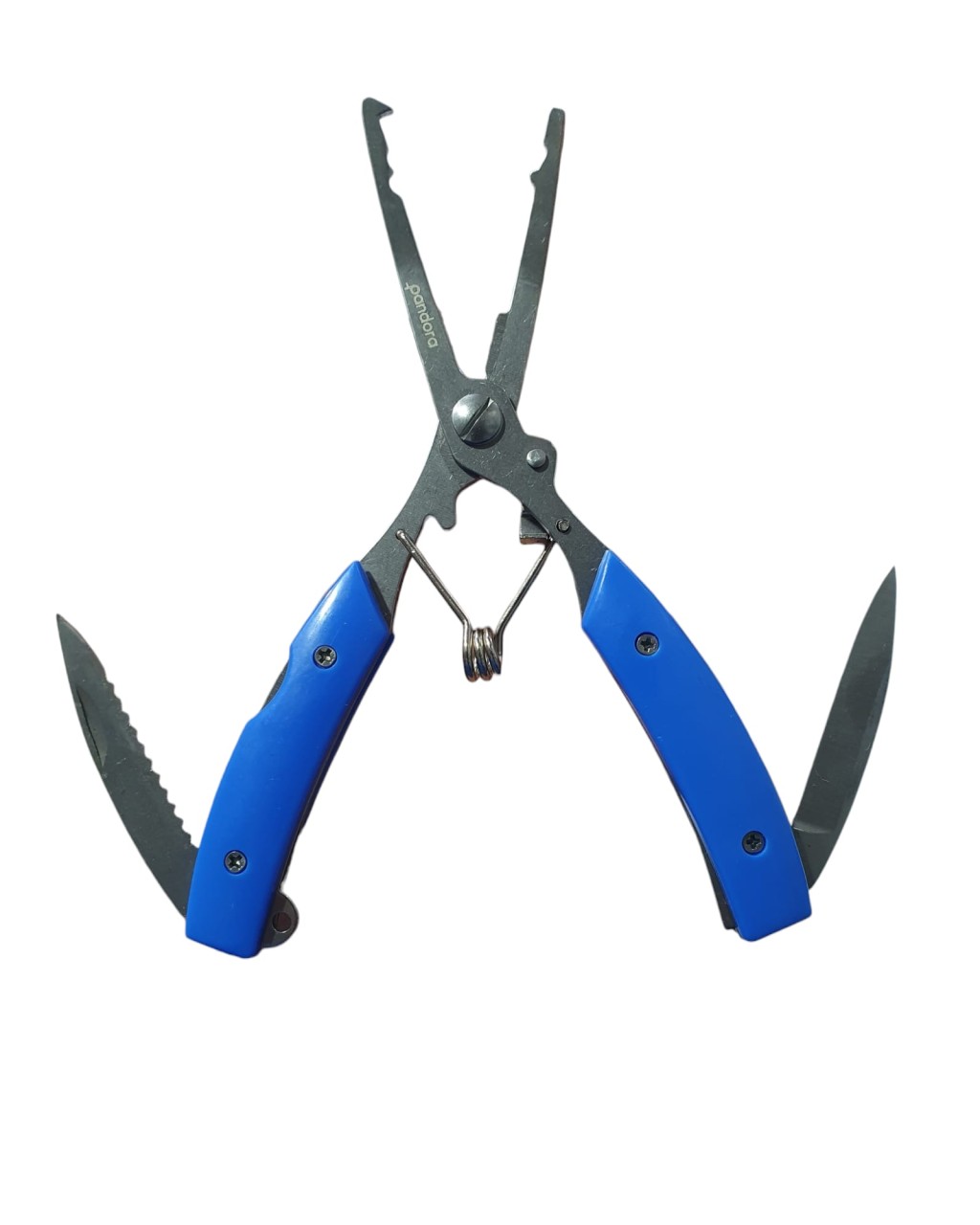 Pandora Large Halka Ve Ip Pensesı