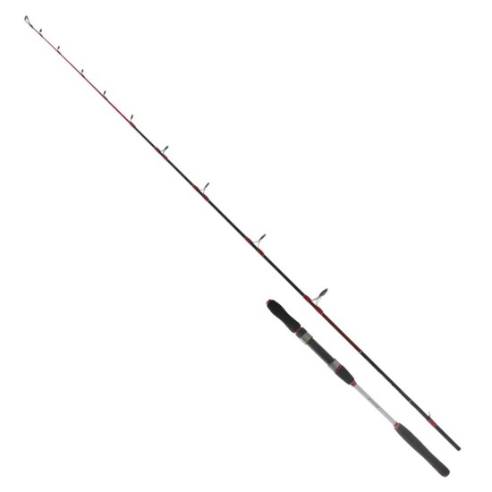 Ryuji Searider 1.80M 60-180Gr 2P Jig Kamış (RYJSRDR180)