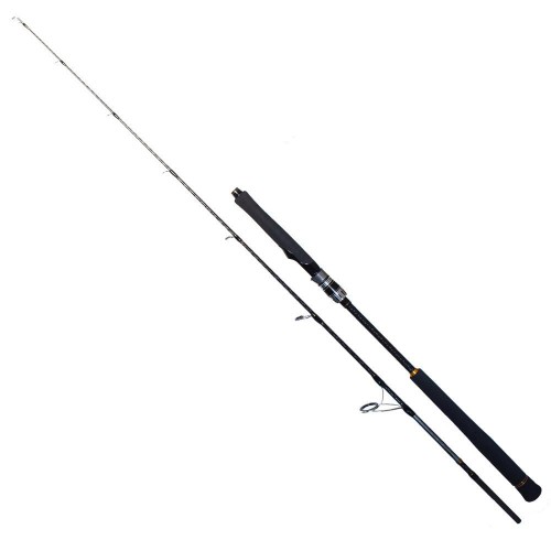 Ryuji Seawolf 1.83M 200-400Gr 2P Jig Olta Kamışı